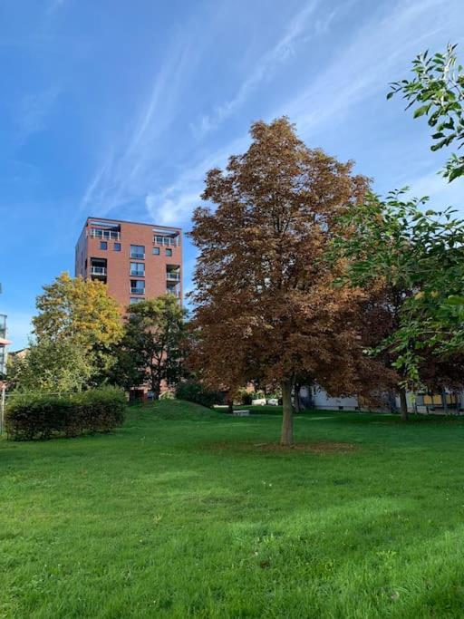 Eine Gemuetliche Einzimmerwohnung Ostfildern Exteriör bild